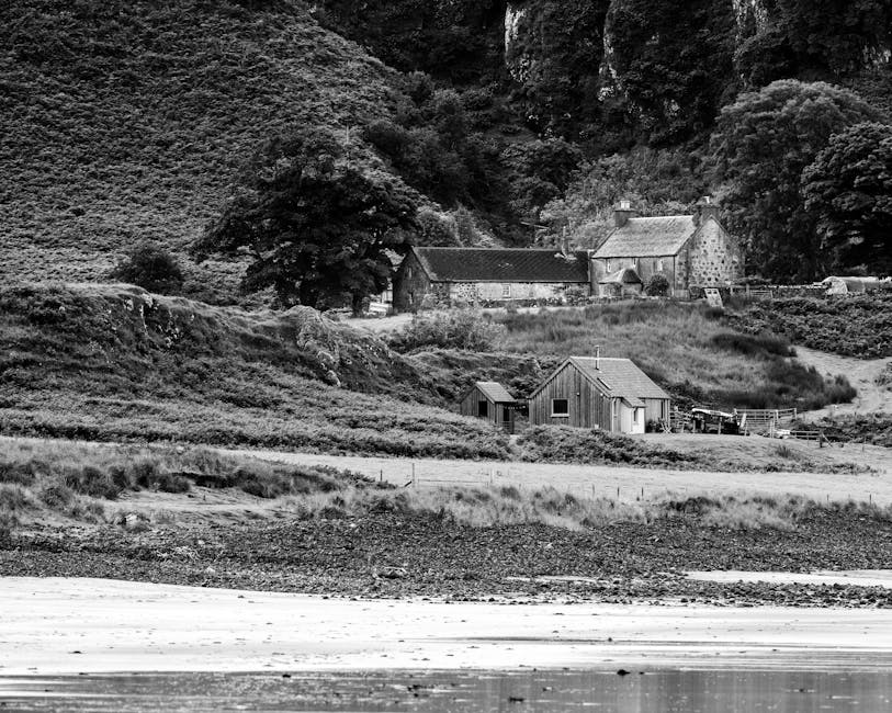 Welcoming interior of The Open Book – a friendly community bookshop