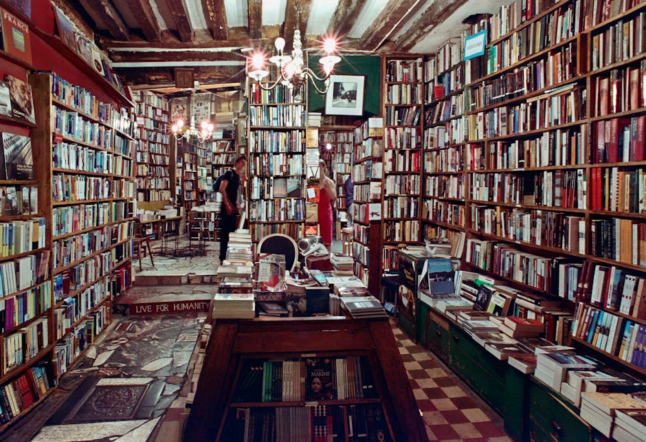 Shelves filled with curated books in a Haarlem independent bookshop