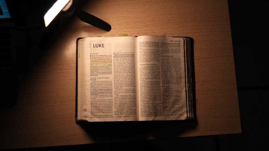 Innenansicht und Klappentext von