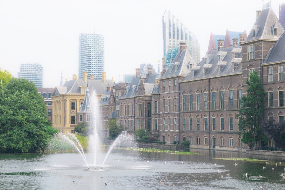 Antiquariat in Den Haag mit alten Buchrücken